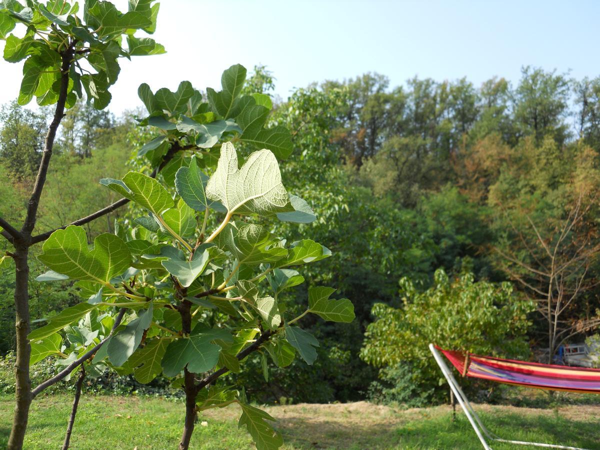Bed and Breakfast Casa Clotilde Stazzano Zewnętrze zdjęcie